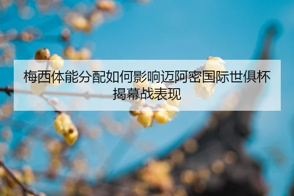 mei-xi-ti-neng-fen-pei-ru-he-ying-xiang-mai-a-mi-guo-ji-shi-ju-bei-jie-mu-zhan-biao-xian-2-353.jpg